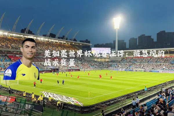 美加墨世界杯观赛证件：被忽视的战术变量