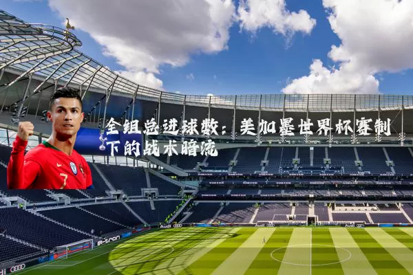 全组总进球数：美加墨世界杯赛制下的战术暗流