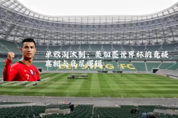 单败淘汰制:美加墨世界杯的竞技真相与底层逻辑