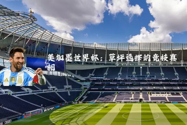 美加墨世界杯:草坪选择的竞技真相